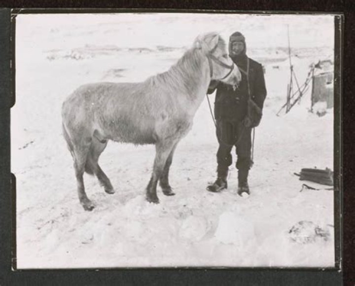 100-Year Old Photos Reveal The Dark Side Of Antarctic Exploration