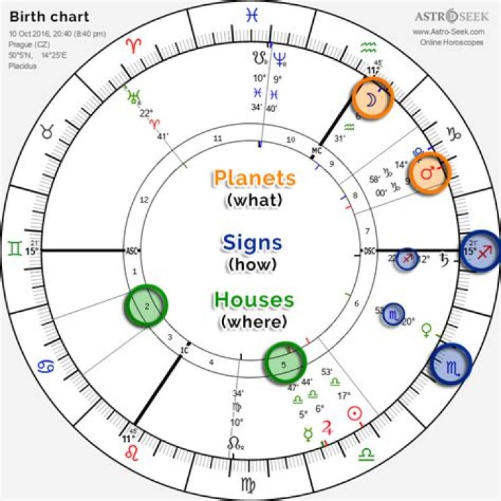 Astrology Birth Chart of Vicky Terrazas (World Music Singer) 2024