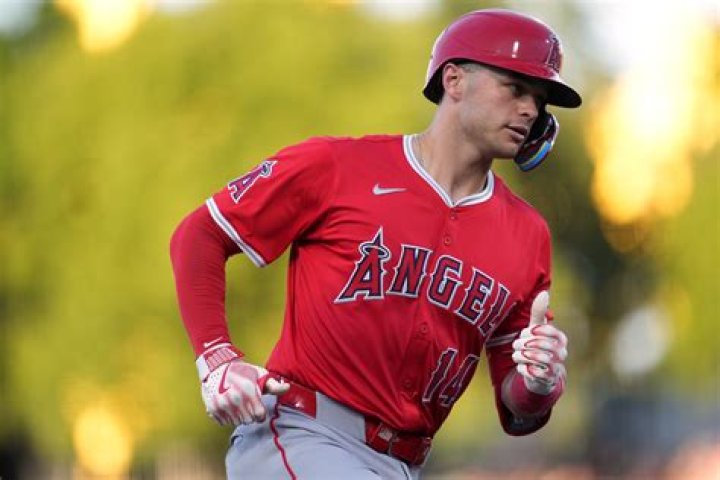 Logan O'Hoppe (Baseball Player) - Age, Birthday, Bio, Facts, Family, Net Worth, Height & More