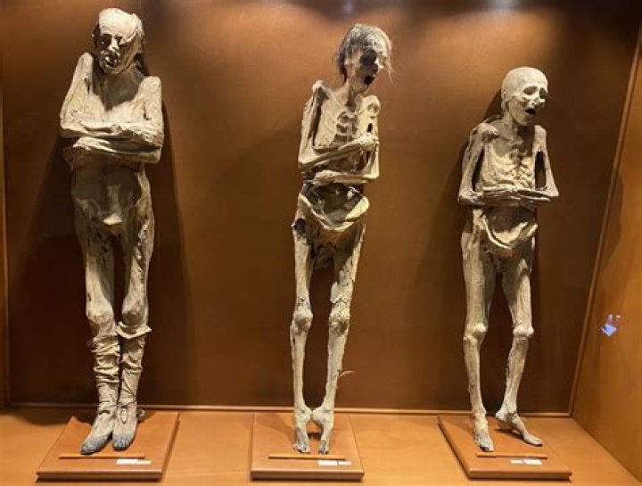 Philosopher's Mummified Head To Be Put On Display And Tested For Autism