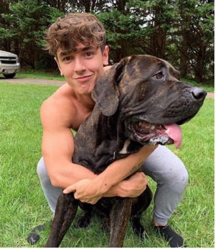 Prominent influencer Bryce Hall Joins Dog For Dog In Their Mission to Ensure Shelter Dogs Receive Proper Nutrition