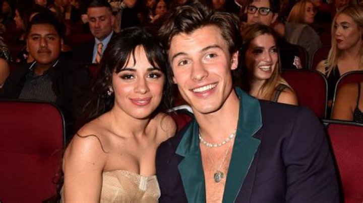 Shawn Mendes & Camila Cabello's "Señorita" Video Have Fans Going Wild