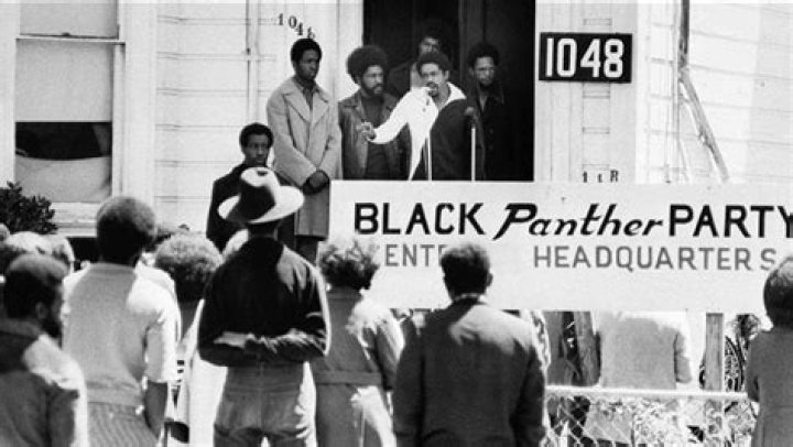 The Rise And Fall Of The Black Panther Party