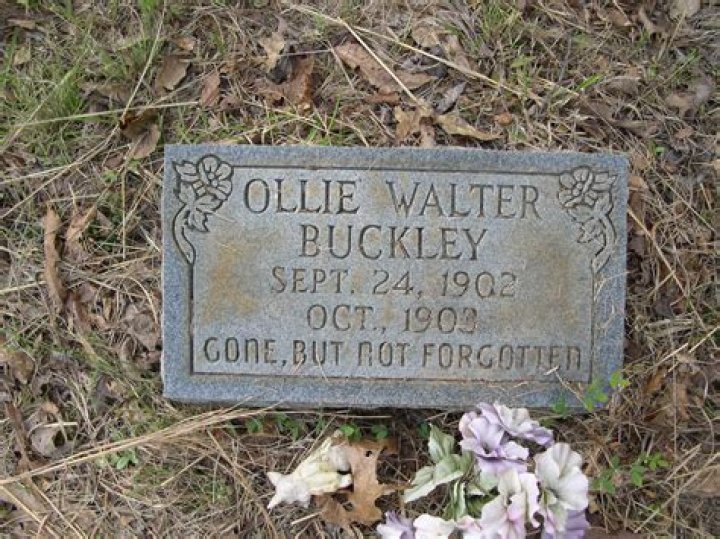 Walter Buckley biografía, edad, altura, esposo, net worth, familia