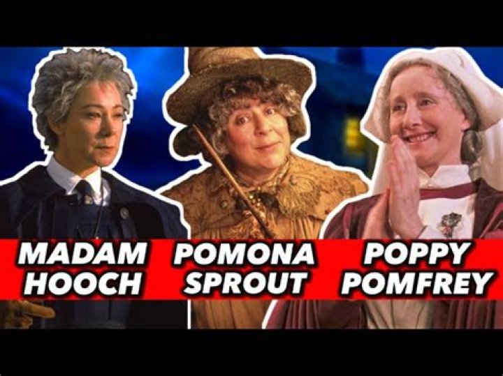 What happened to Madam Hooch in Harry Potter?