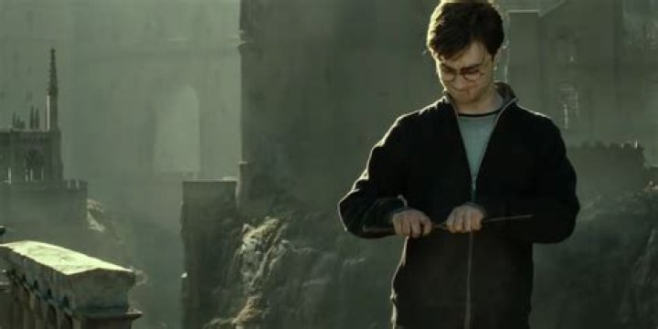 When did Harry disarm Draco for the Elder Wand?